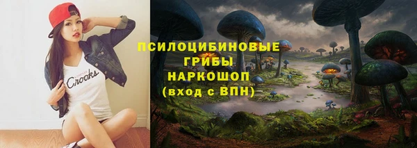 2c-b Абинск
