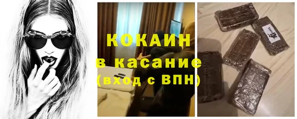 прущие грибы Абдулино