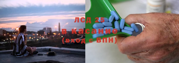 прущие грибы Абдулино