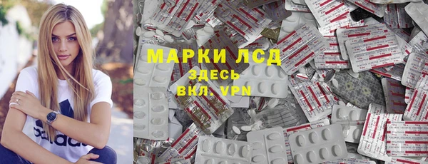 прущие грибы Абдулино