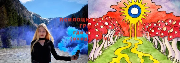 прущие грибы Абдулино