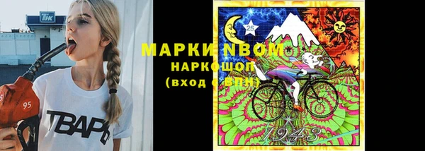 прущие грибы Абдулино