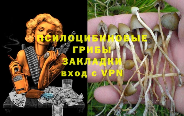 прущие грибы Абдулино