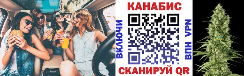 kraken как зайти  Сорск  МАРИХУАНА сатива 